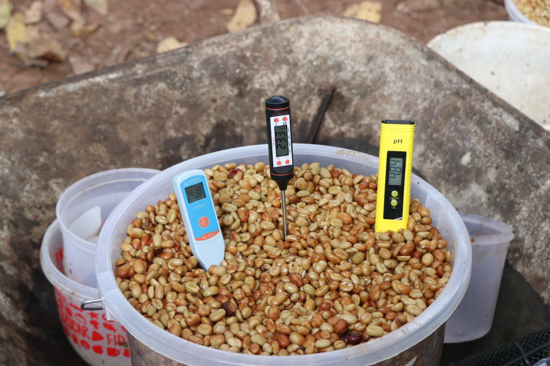 Product picture from PeruEsCafe.com