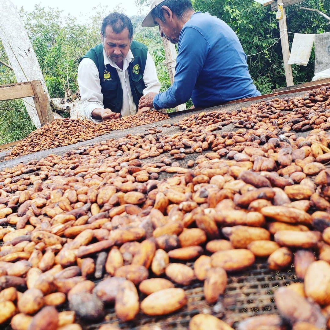 Product picture from PeruEsCafe.com