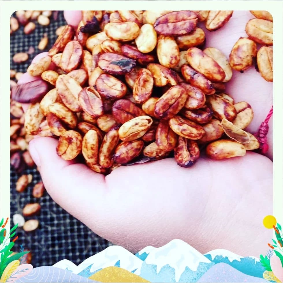 Product picture from PeruEsCafe.com