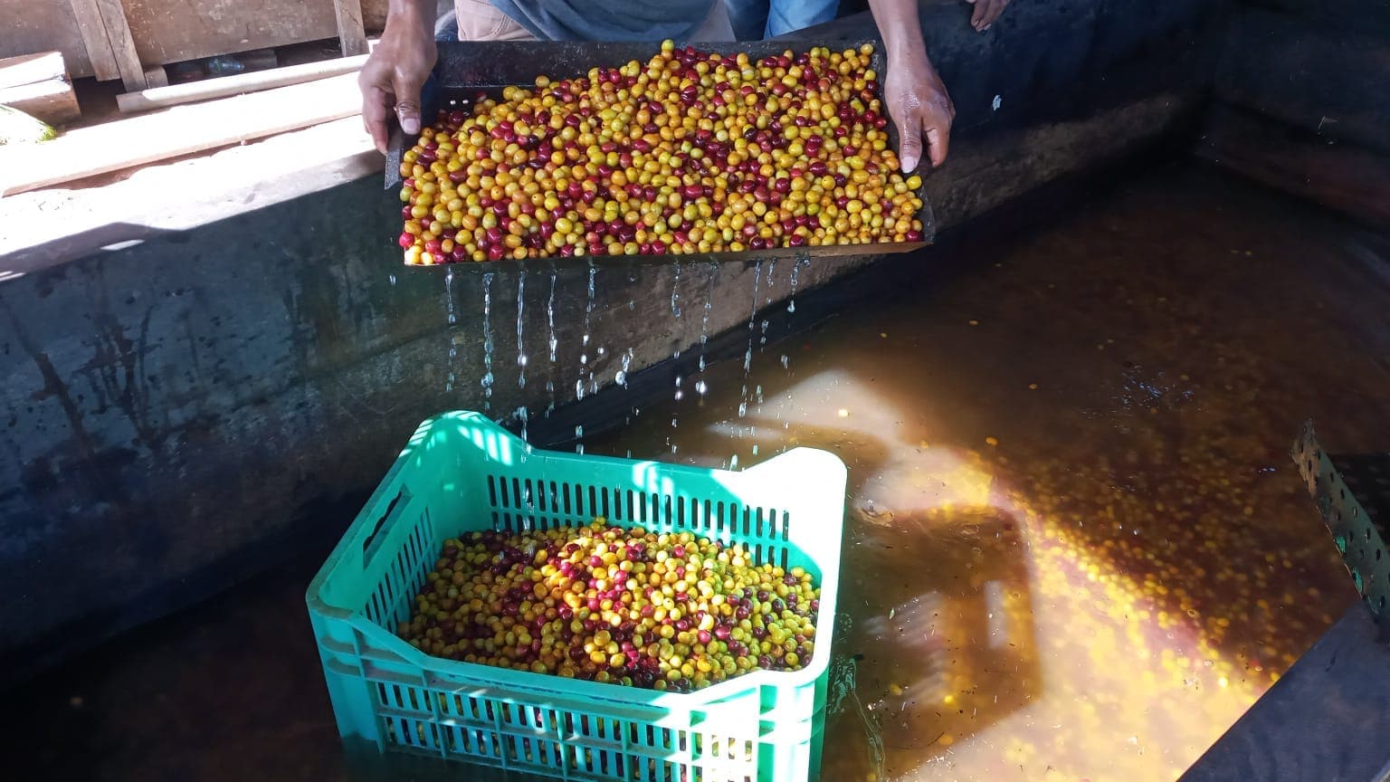 Product picture from PeruEsCafe.com