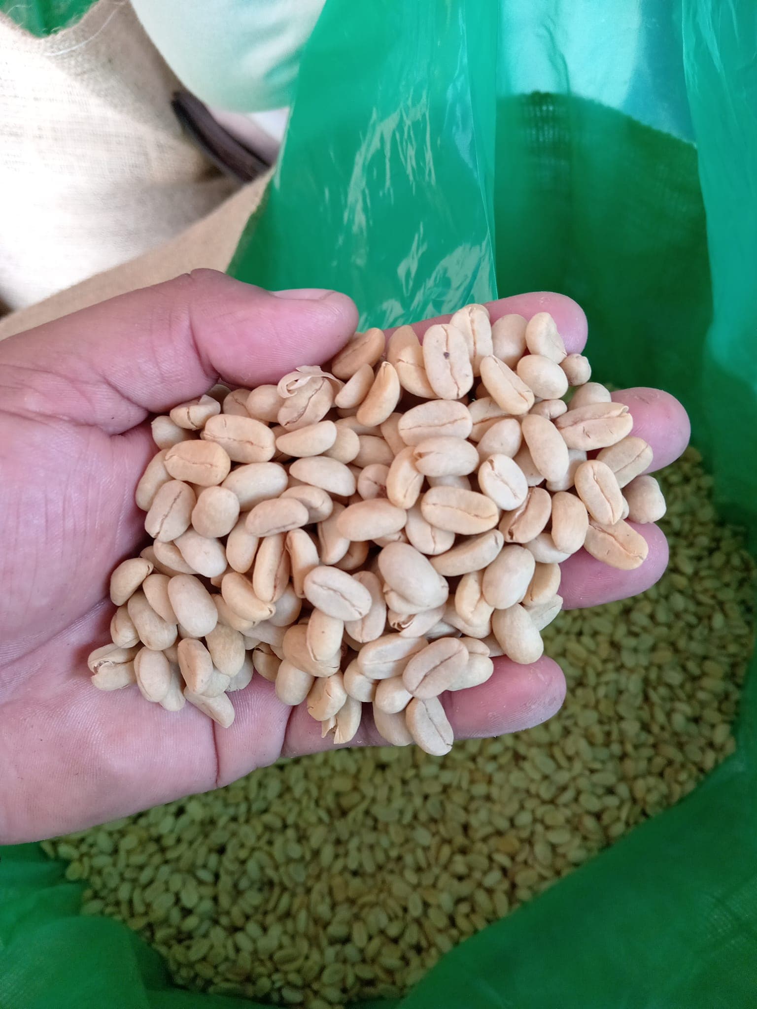 Product picture from PeruEsCafe.com