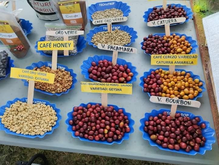 Product picture from PeruEsCafe.com